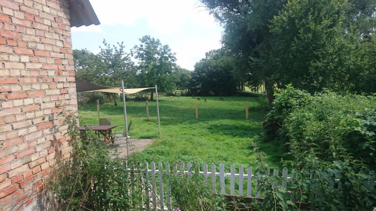 Kummerower See Dargun Exterior foto